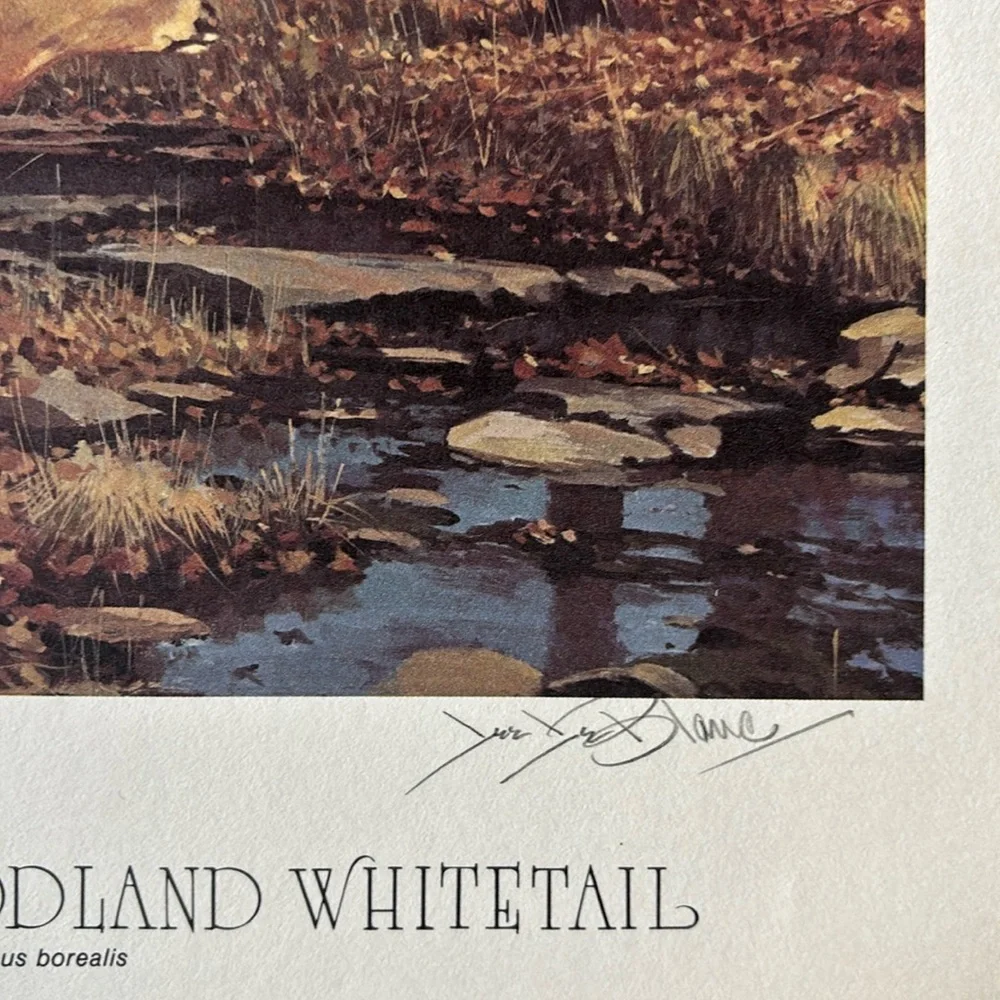 Lee Le Blanc 1981 Northern Woodland Whitetail Stamp, Print, Signed, Numbered - Picture 3 of 12
